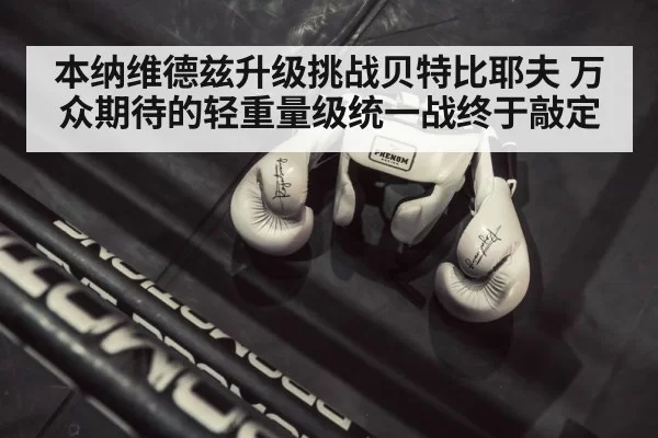 boxing gloves fight