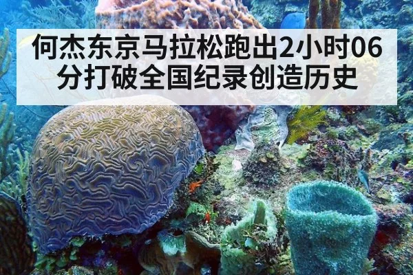 何杰东京马拉松跑出2小时06分打破全国纪录创造历史