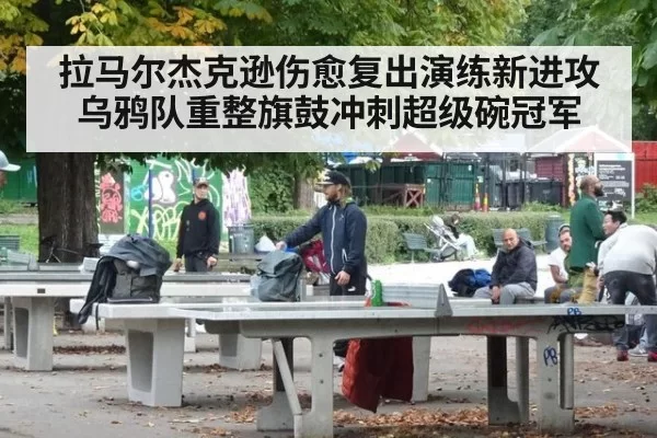 拉马尔杰克逊伤愈复出演练新进攻乌鸦队重整旗鼓冲刺超级碗冠军